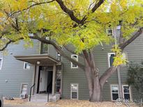 Well maintained building with a large tree in front at 3345 Chisholm Trl # 105C, Boulder, CO 80301