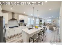 Open concept kitchen boasts modern appliances and an island with seating at 2756 Bear Springs Cir, Longmont, CO 80503