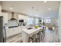 Open concept kitchen features island, stainless steel appliances, and white cabinetry at 2848 South Flat Cir, Longmont, CO 80503