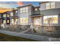 Modern two-story townhome with gray siding, stone accents, and landscaped front yard at 1777 Mount Meeker Ave, Berthoud, CO 80513