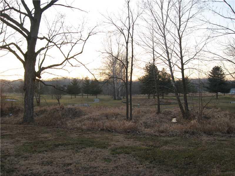 Photo #4
