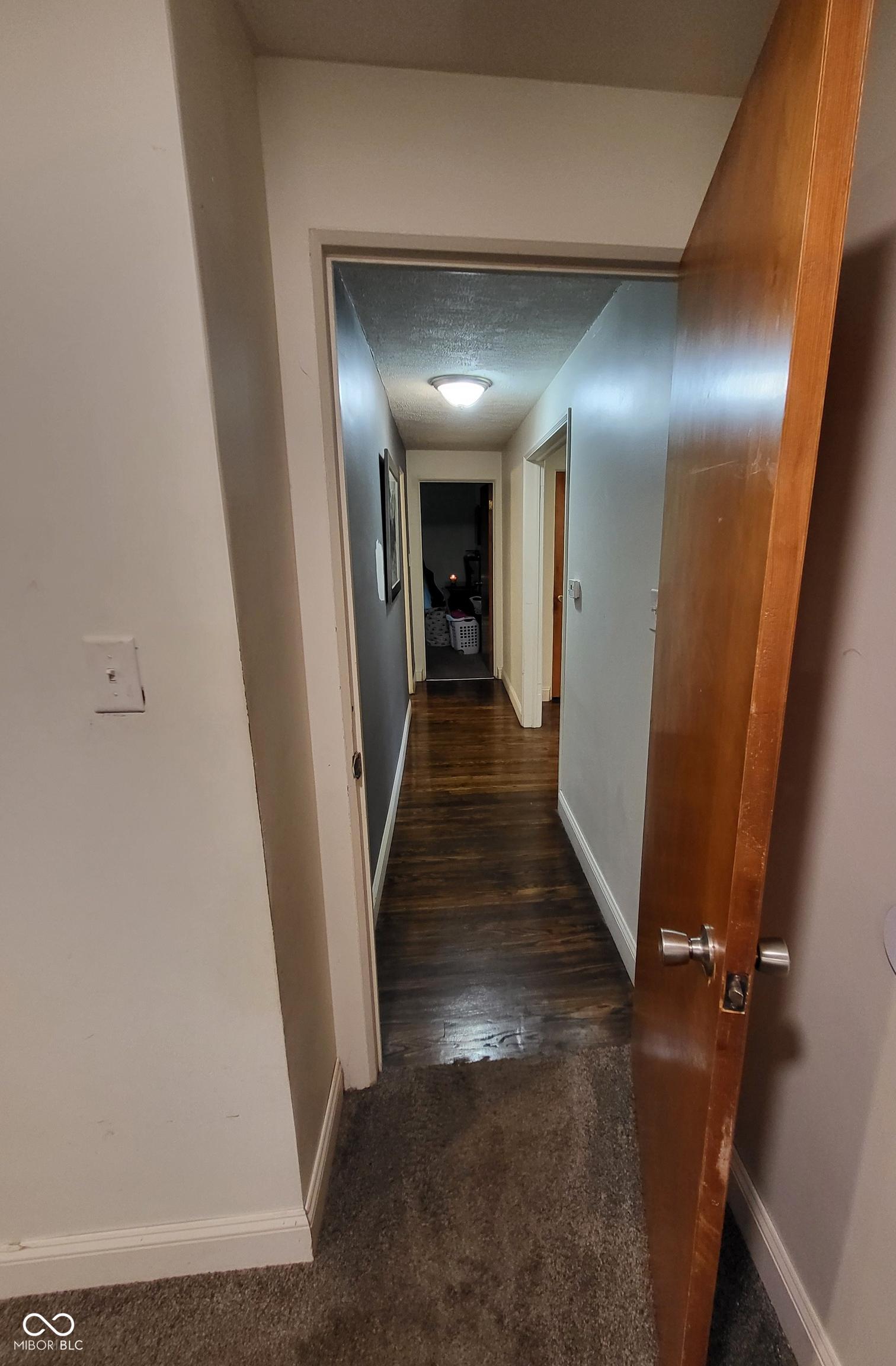 Photo #24