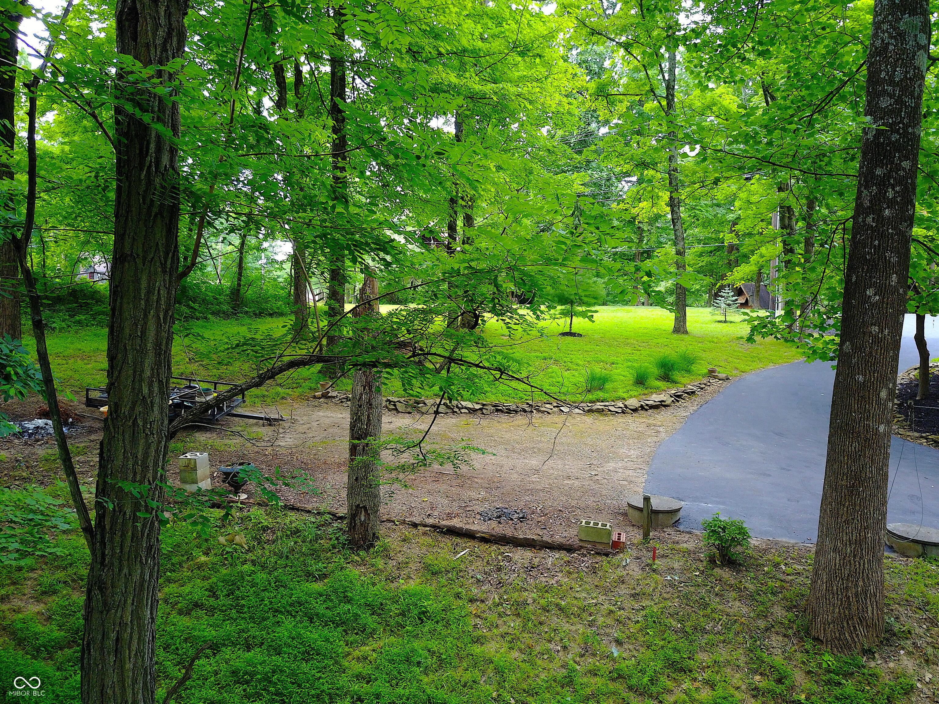 Photo #52