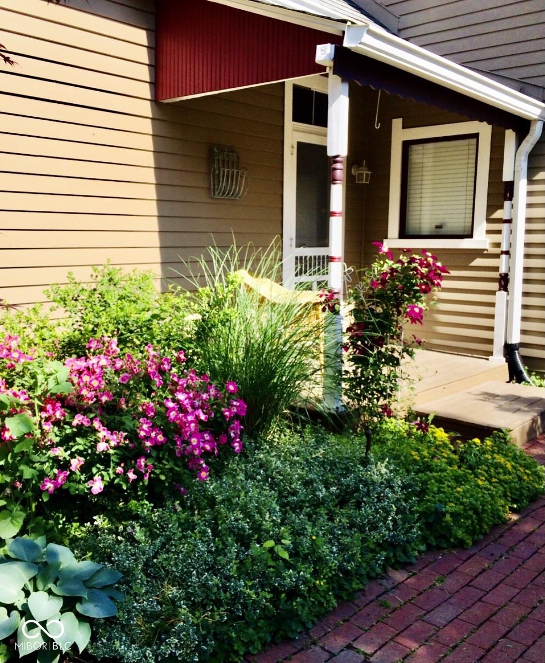 Photo #46