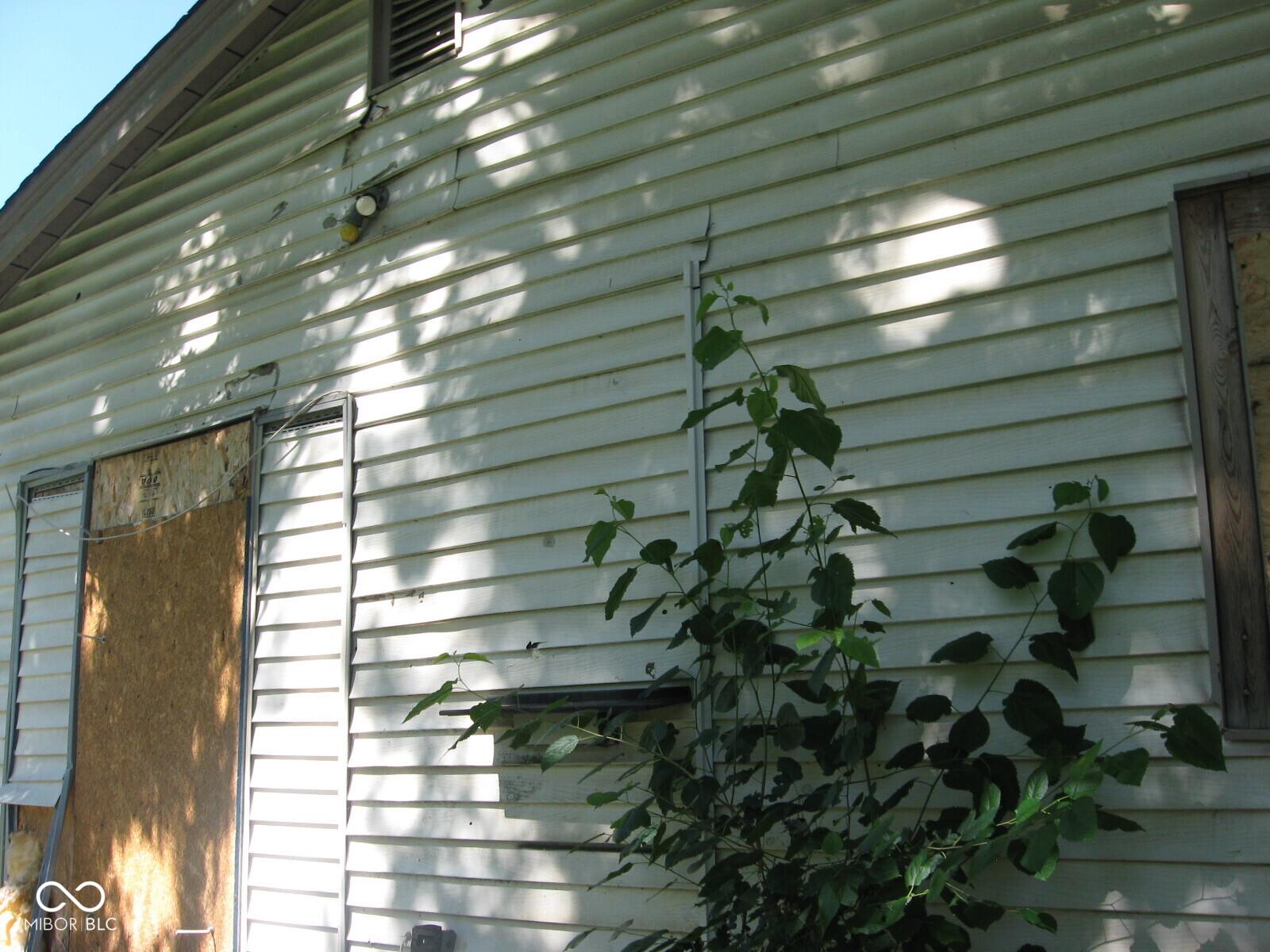 Photo #3