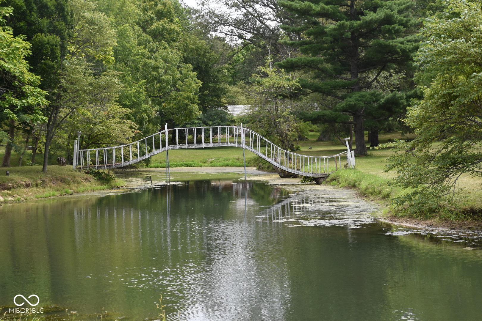Photo #36