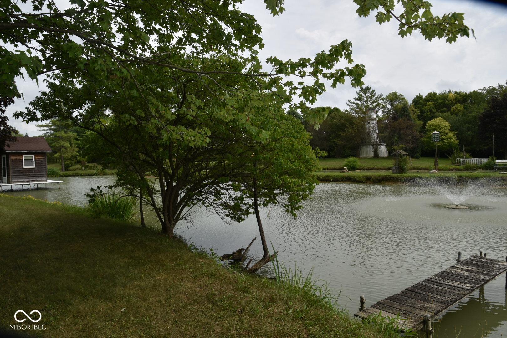 Photo #31