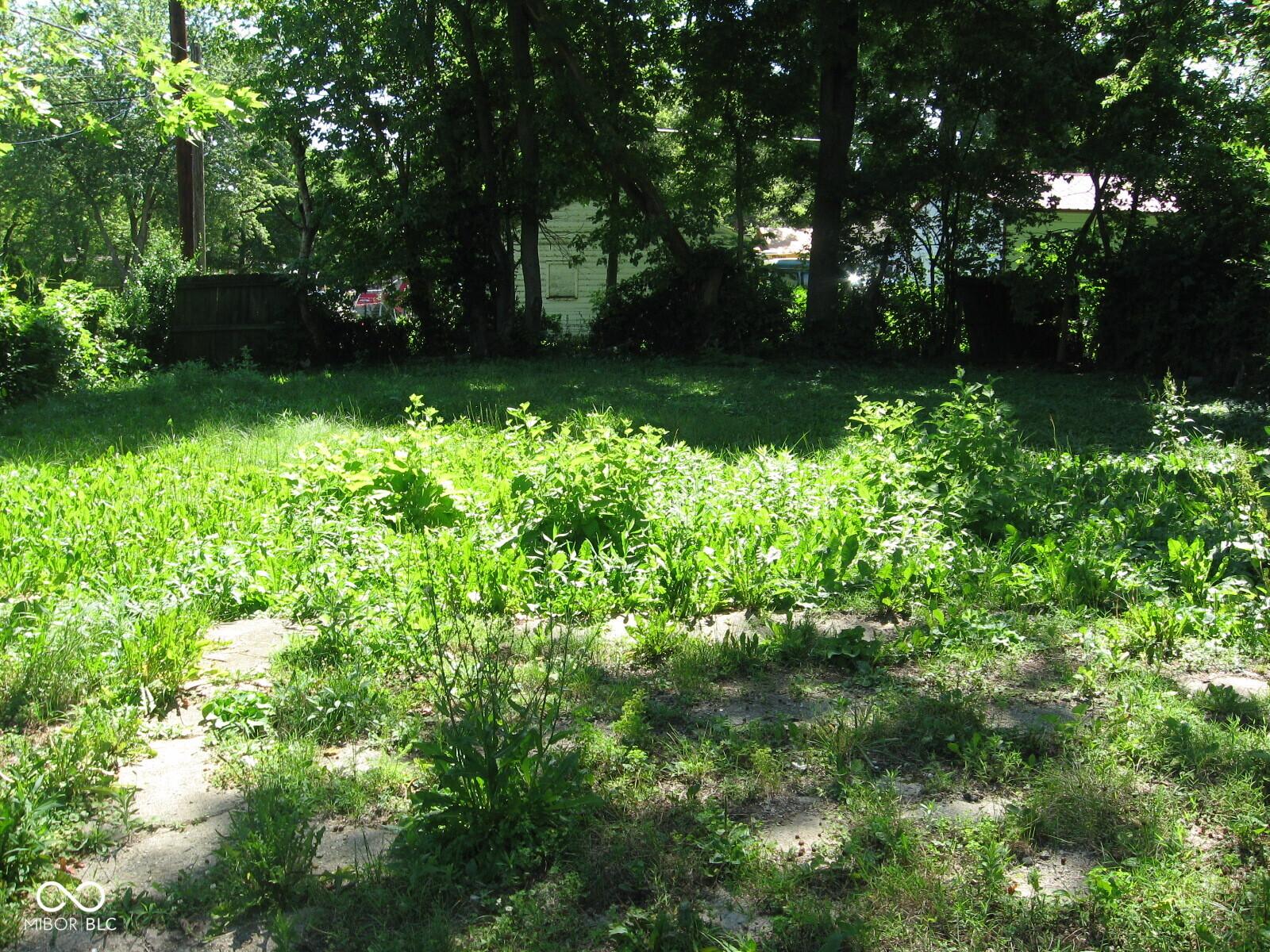 Photo #3