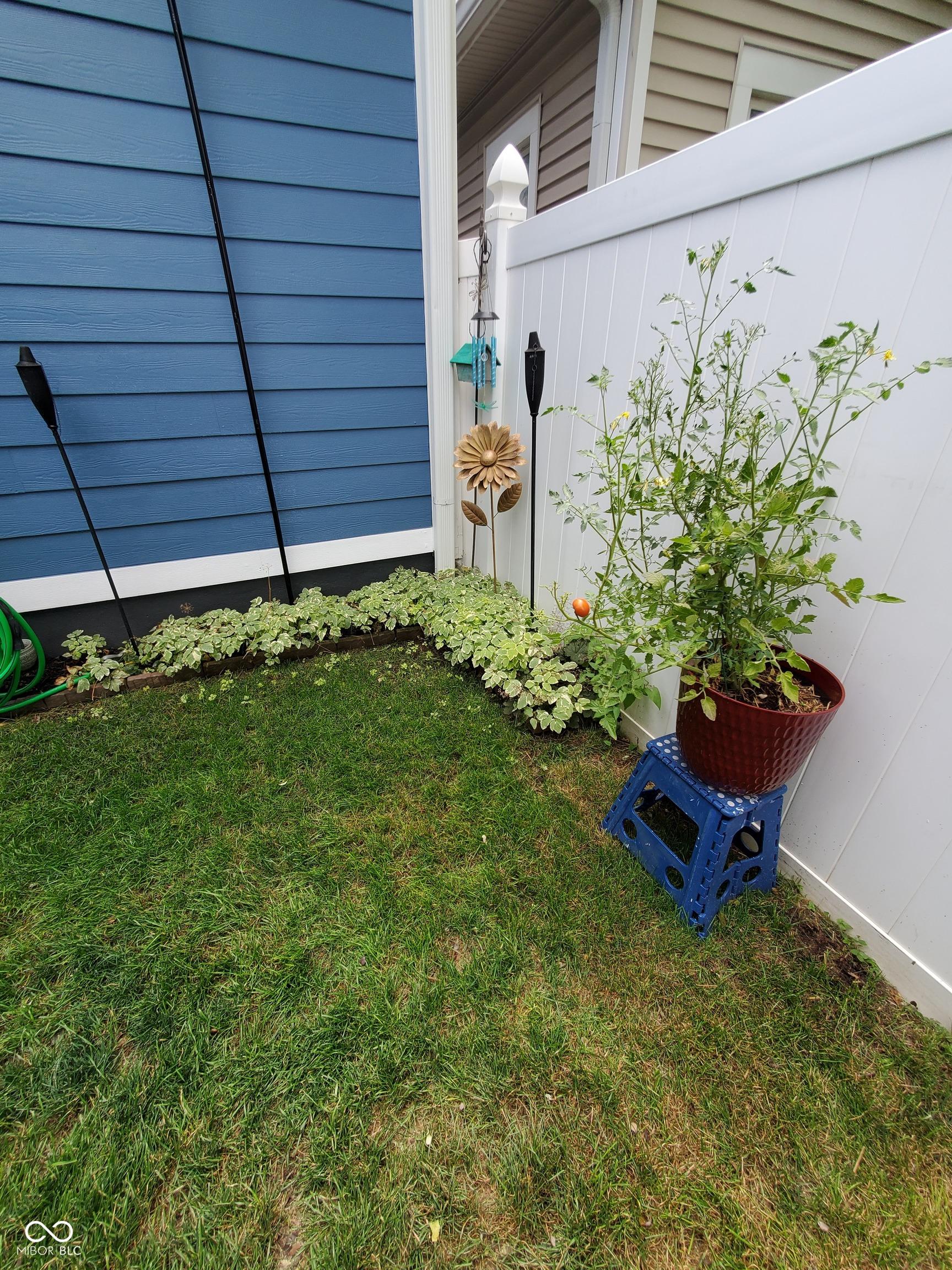 Photo #41