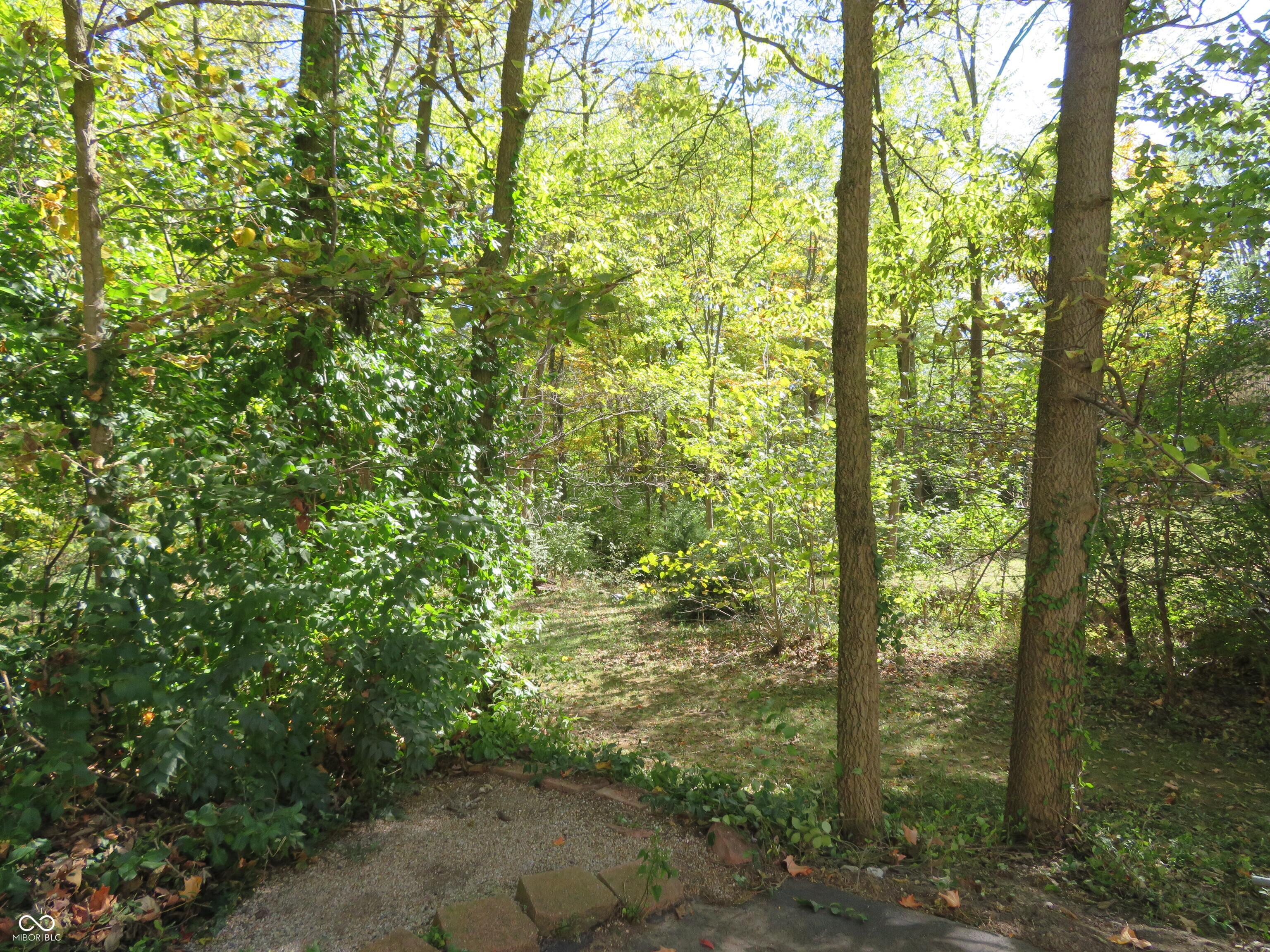 Photo #61