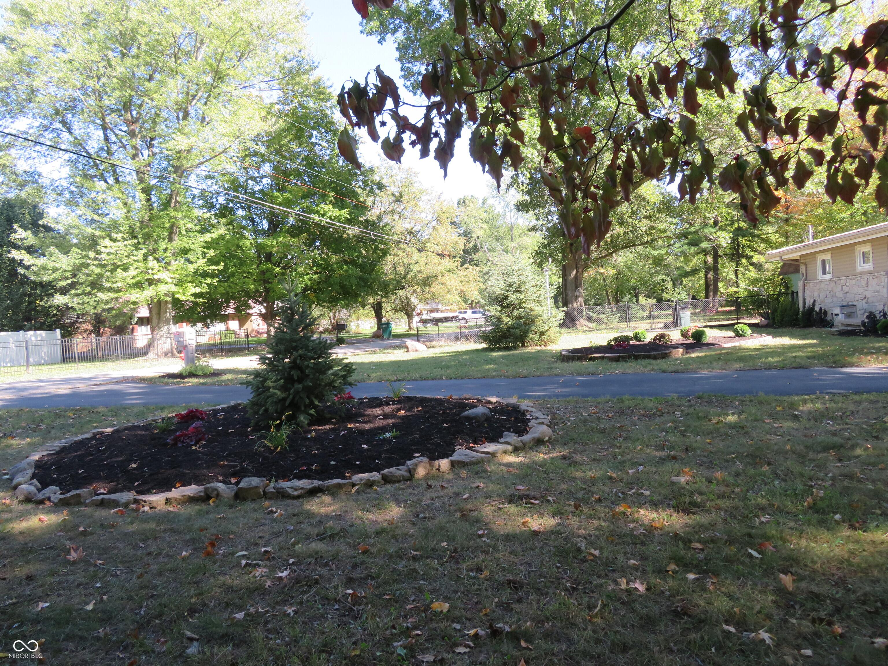 Photo #63