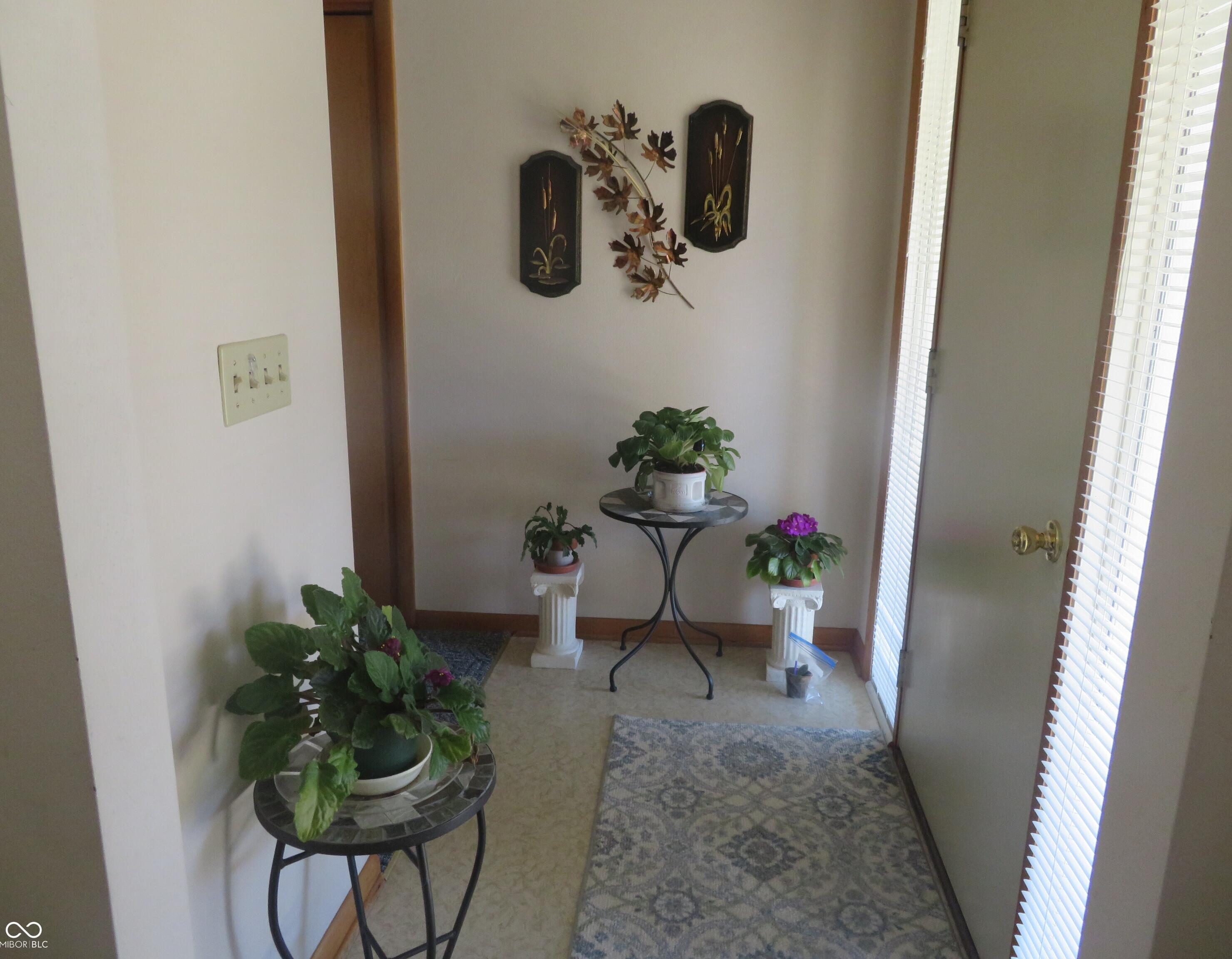 Photo #13