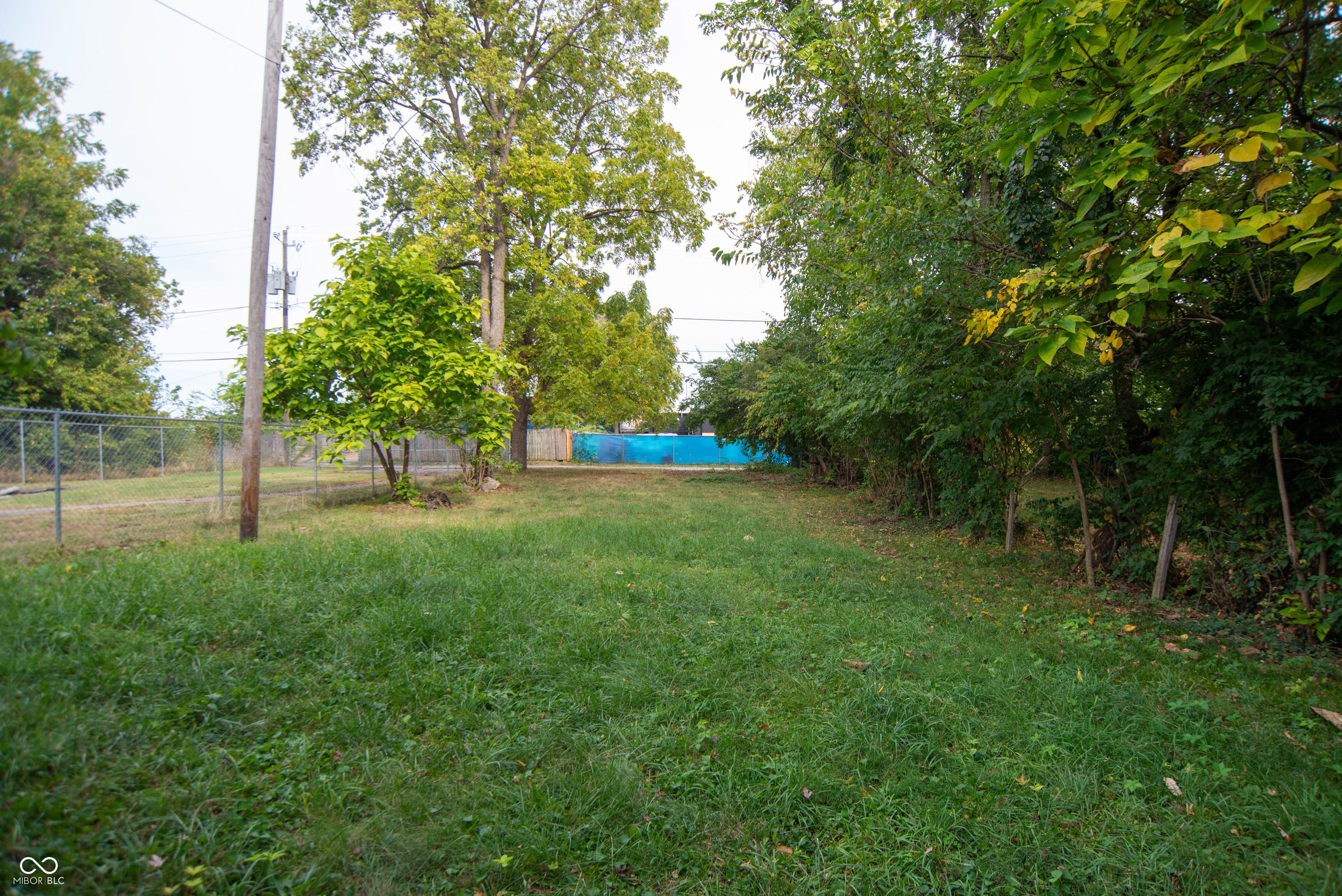 Photo #19