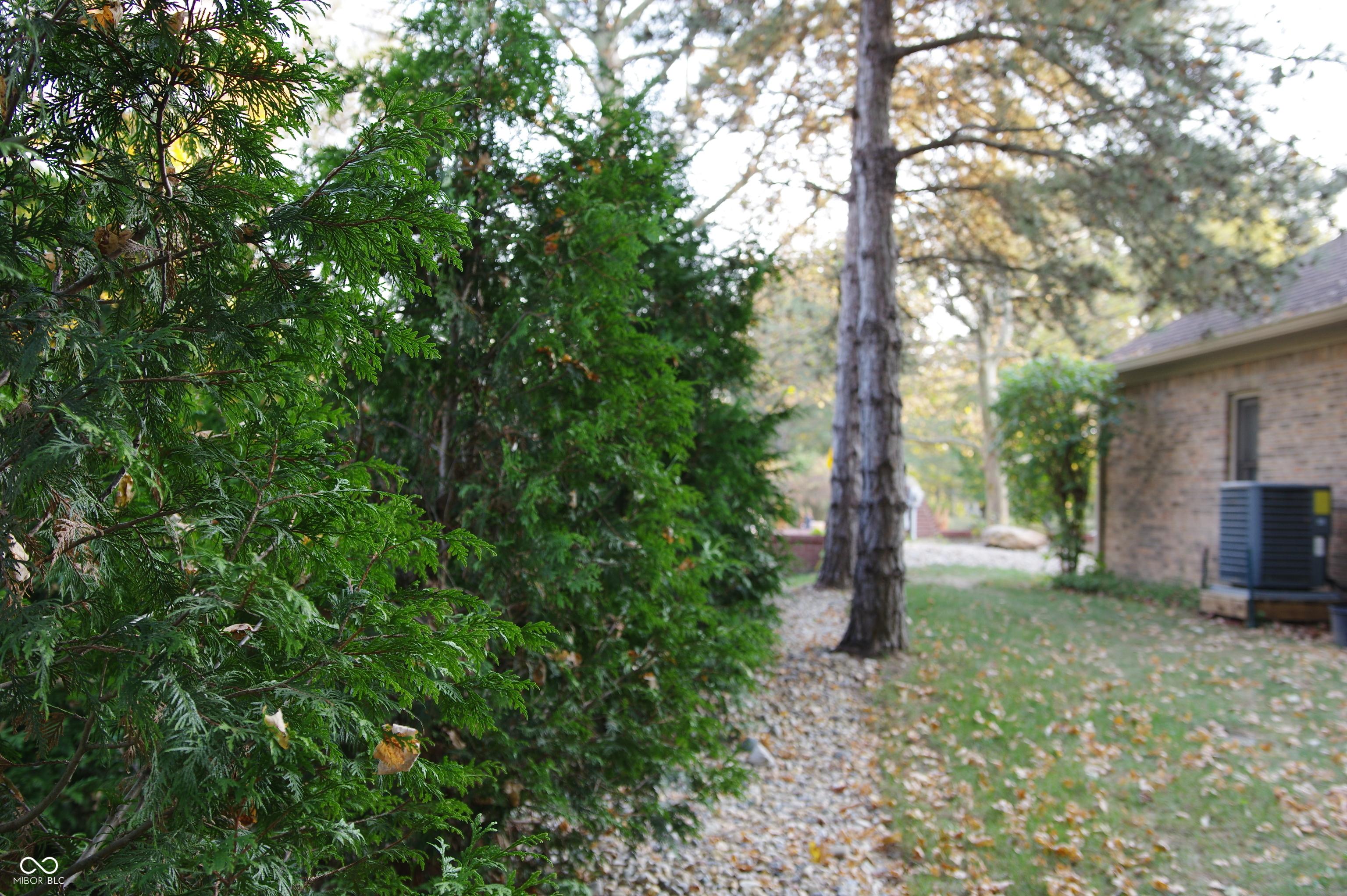 Photo #38