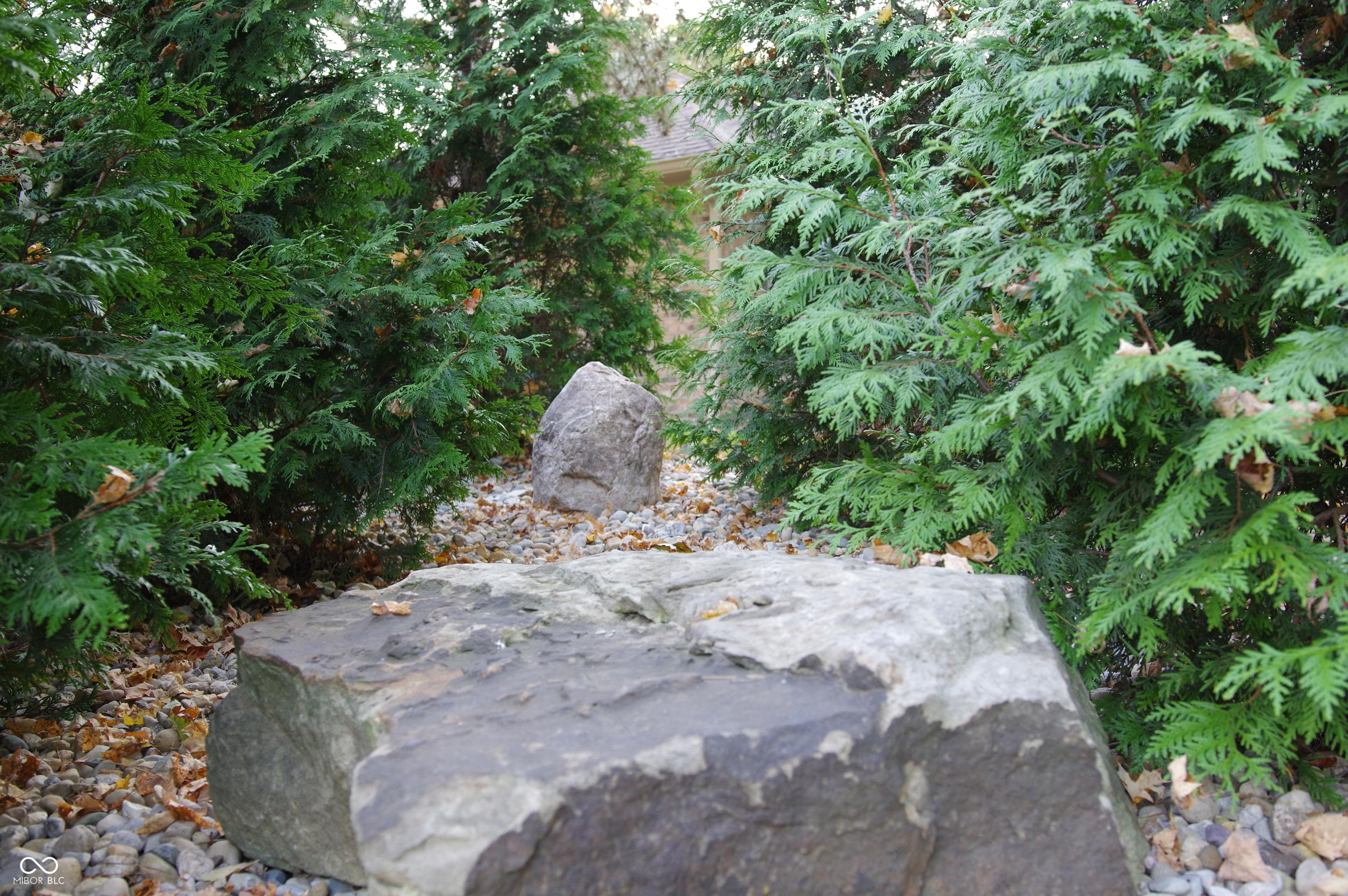 Photo #35