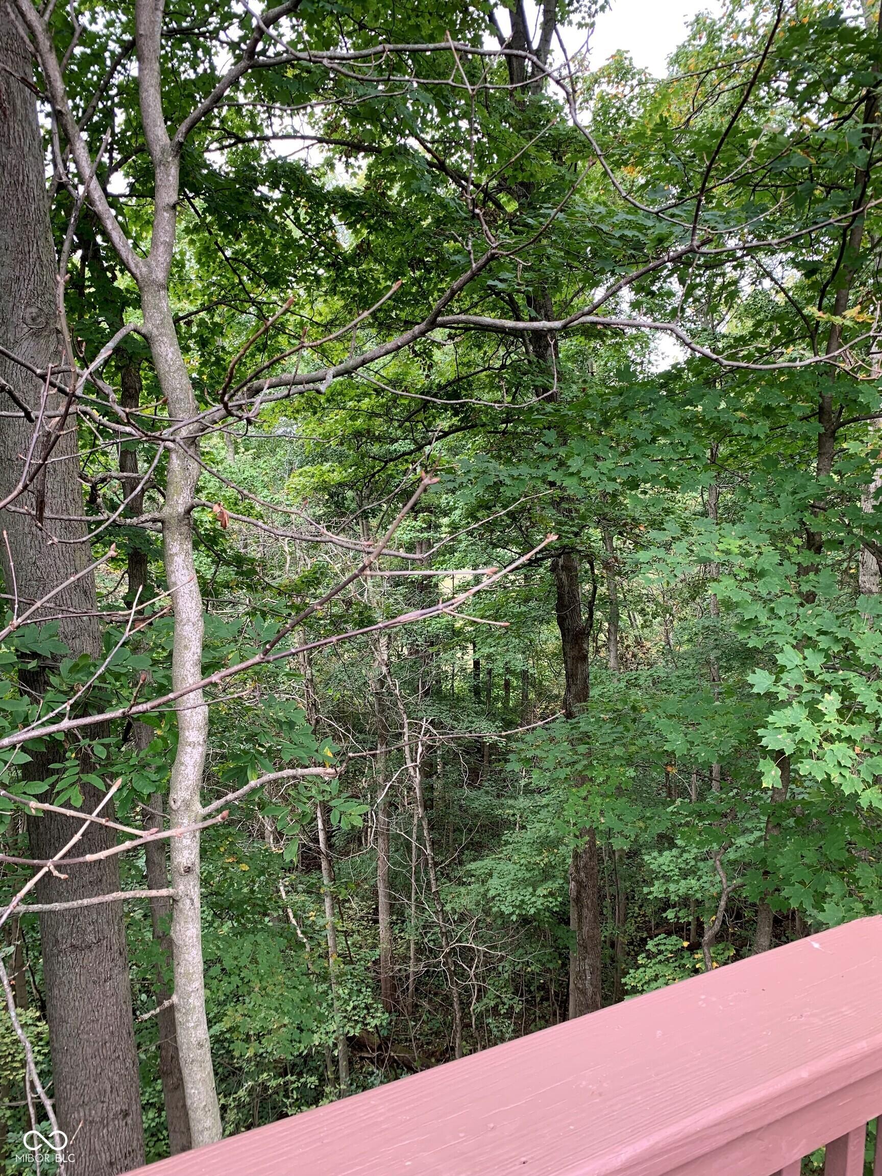 Photo #36
