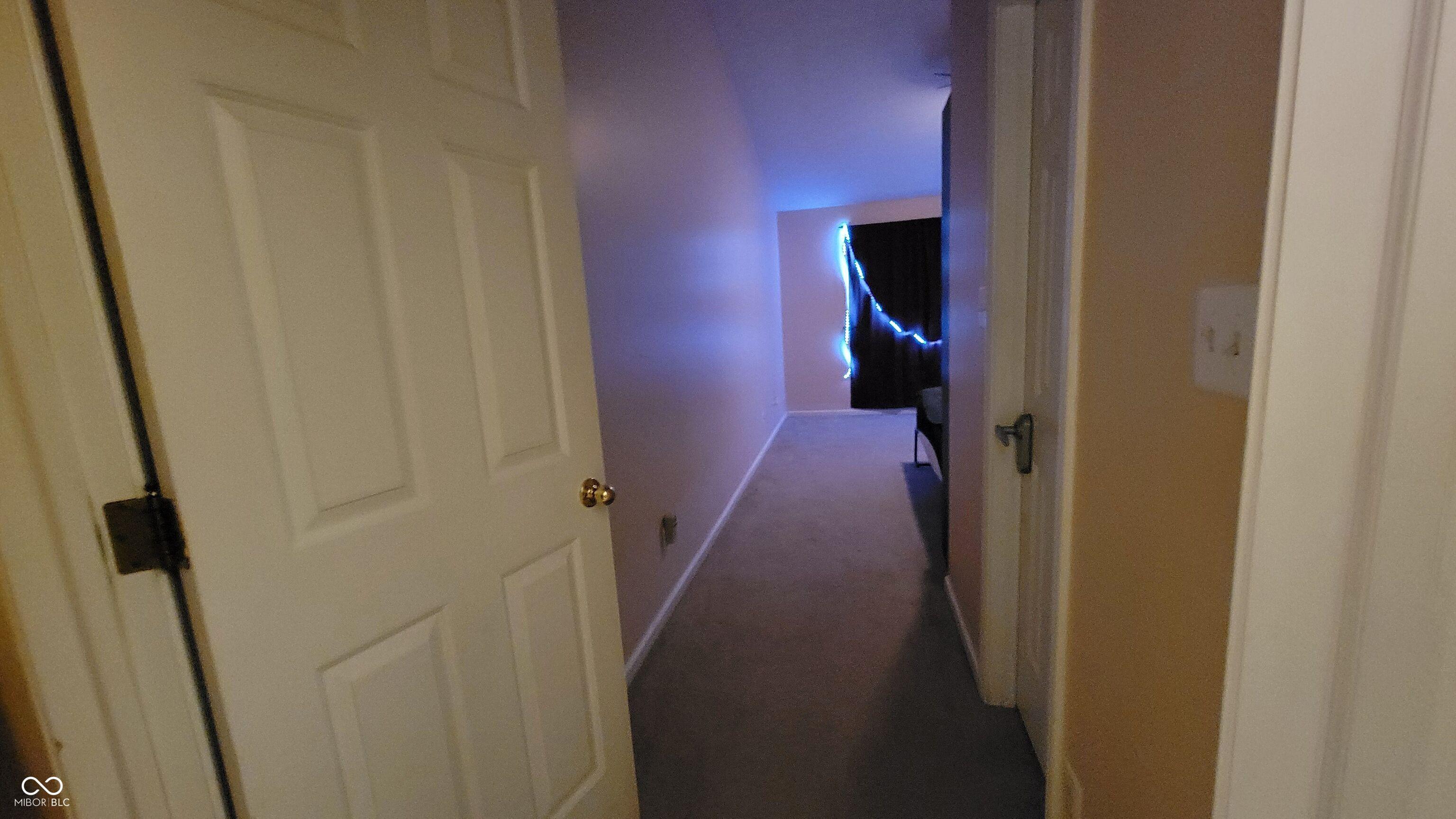 Photo #29