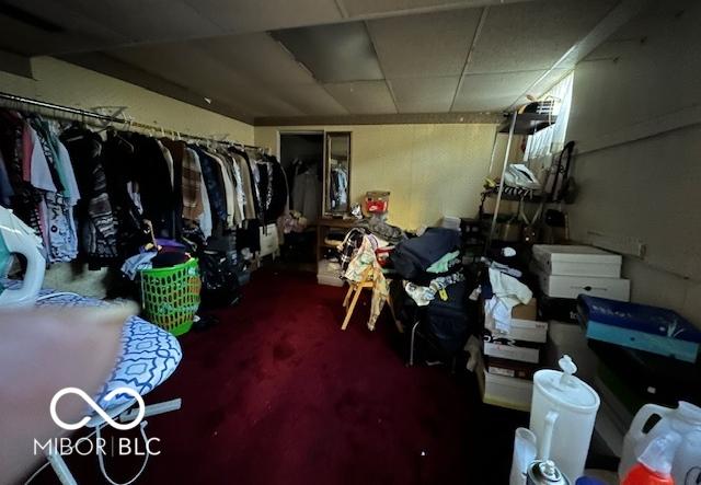 Photo #15