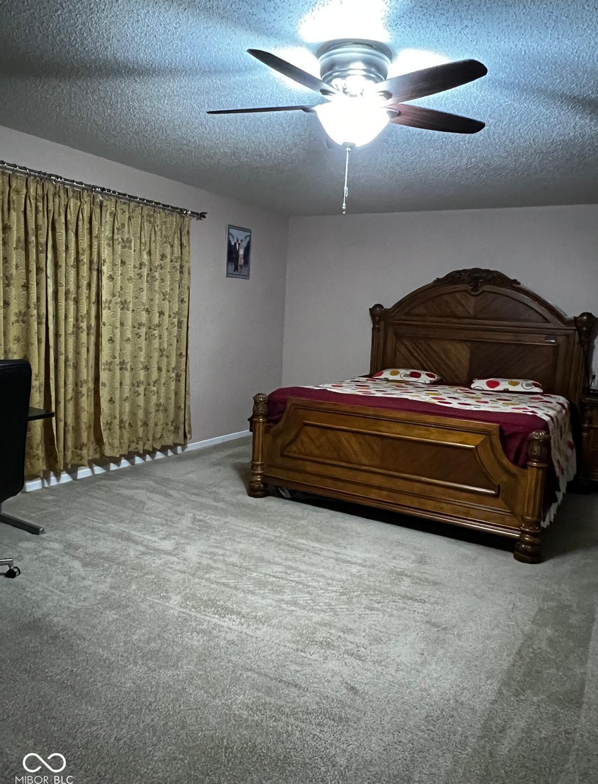 Photo #16