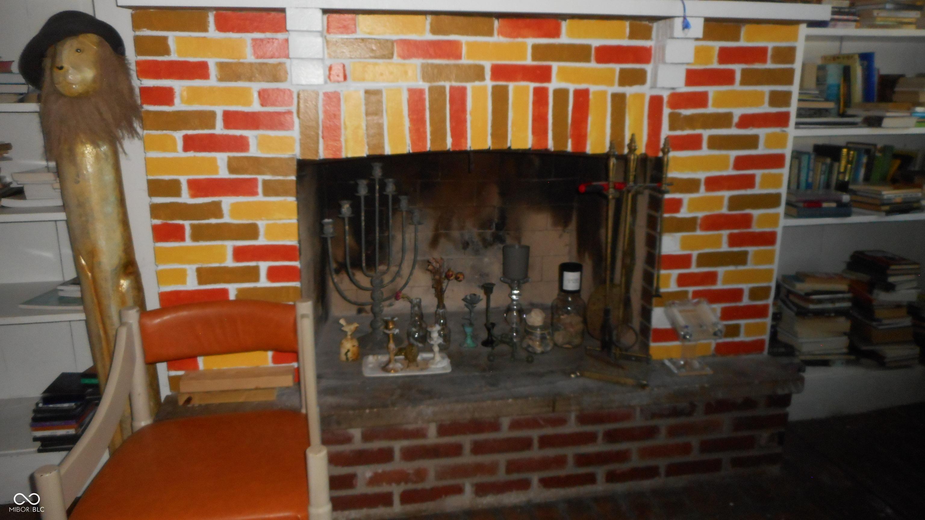 Photo #12