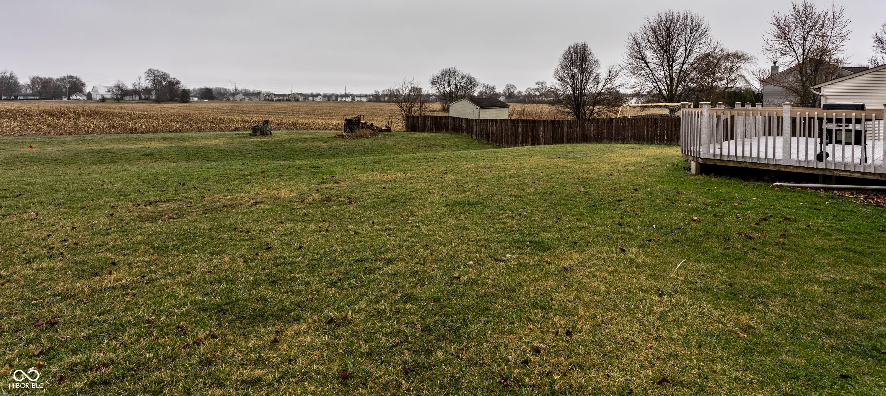 Photo #20