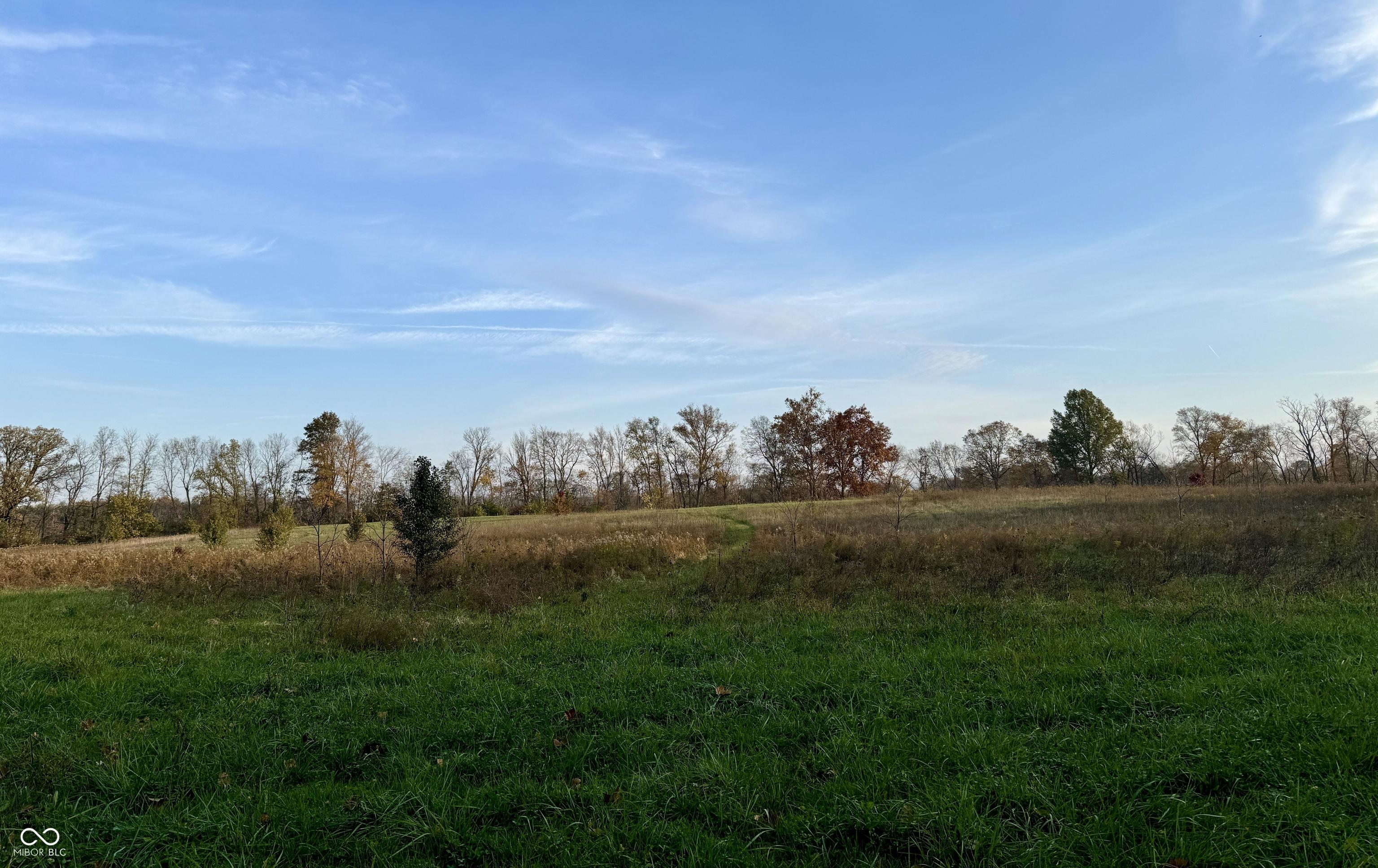 Photo #51