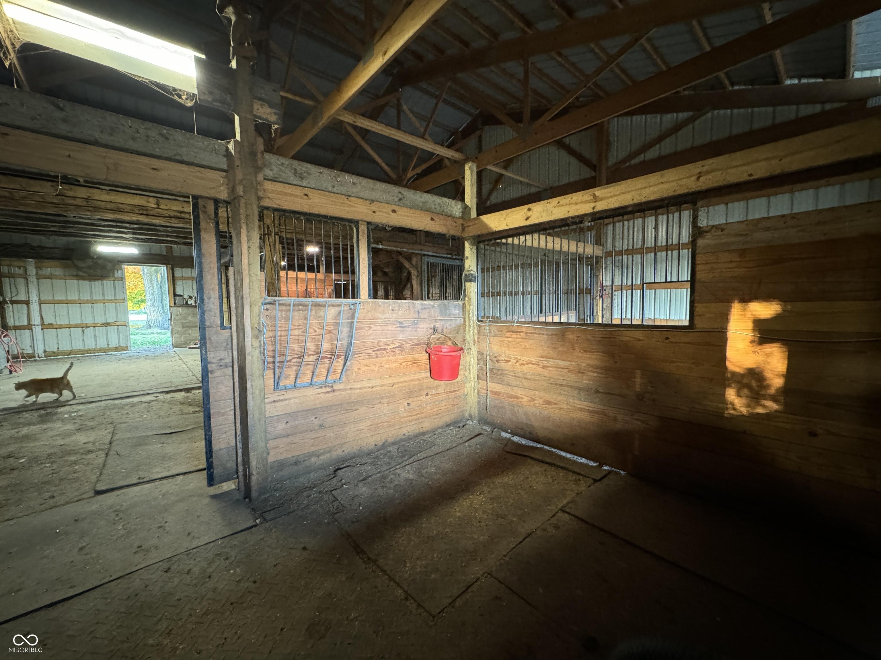 Photo #38