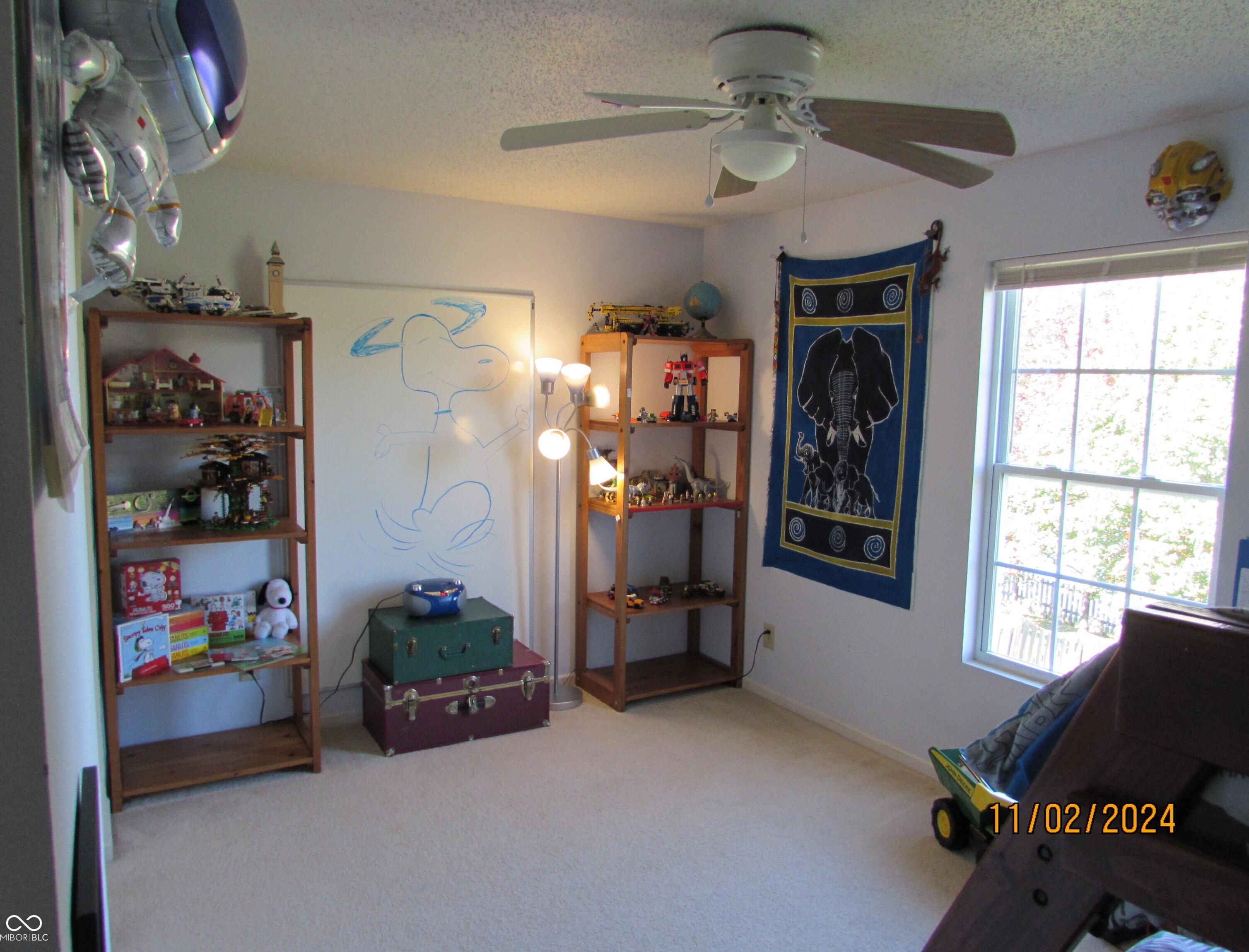 Photo #14