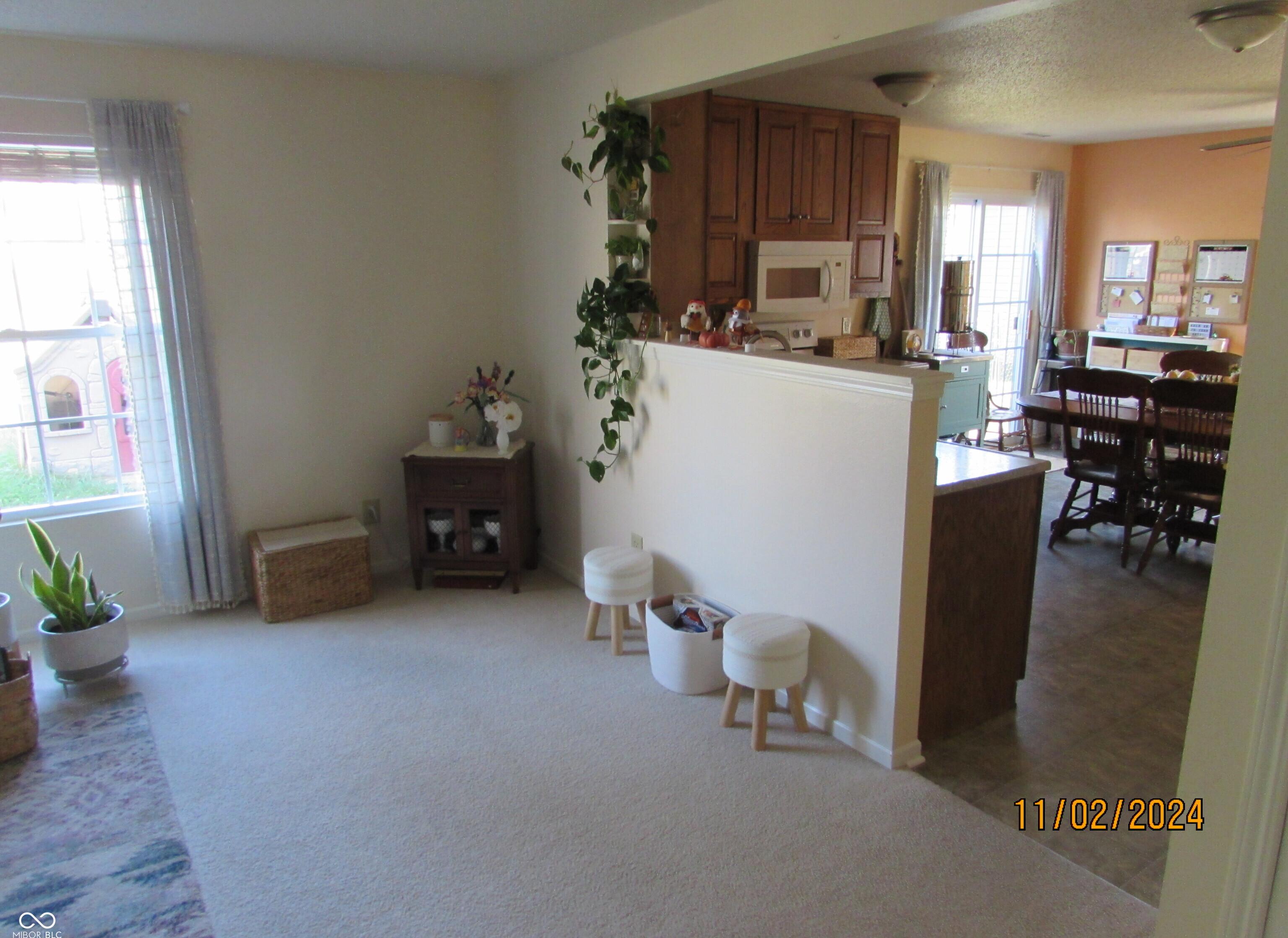 Photo #5