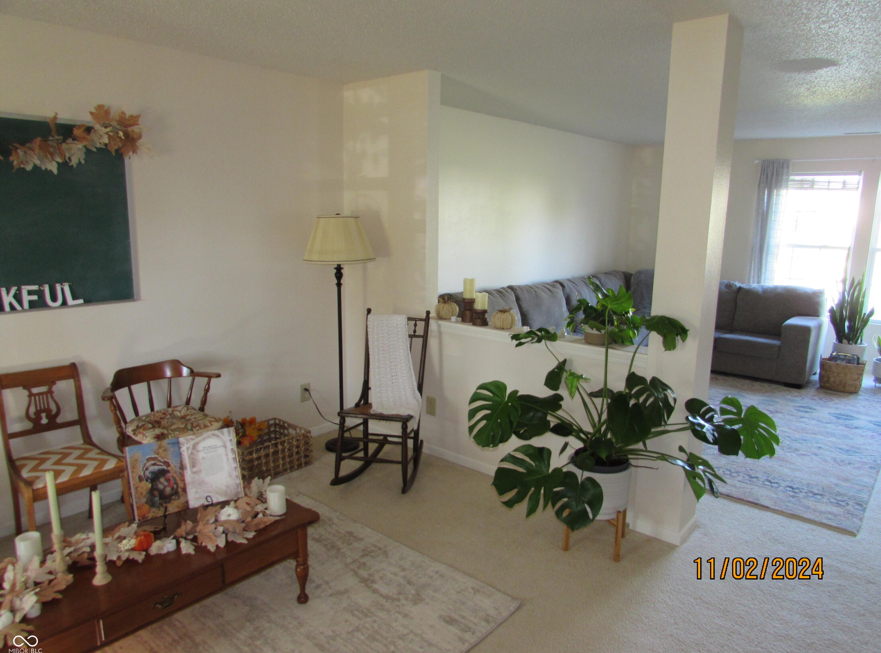 Photo #3