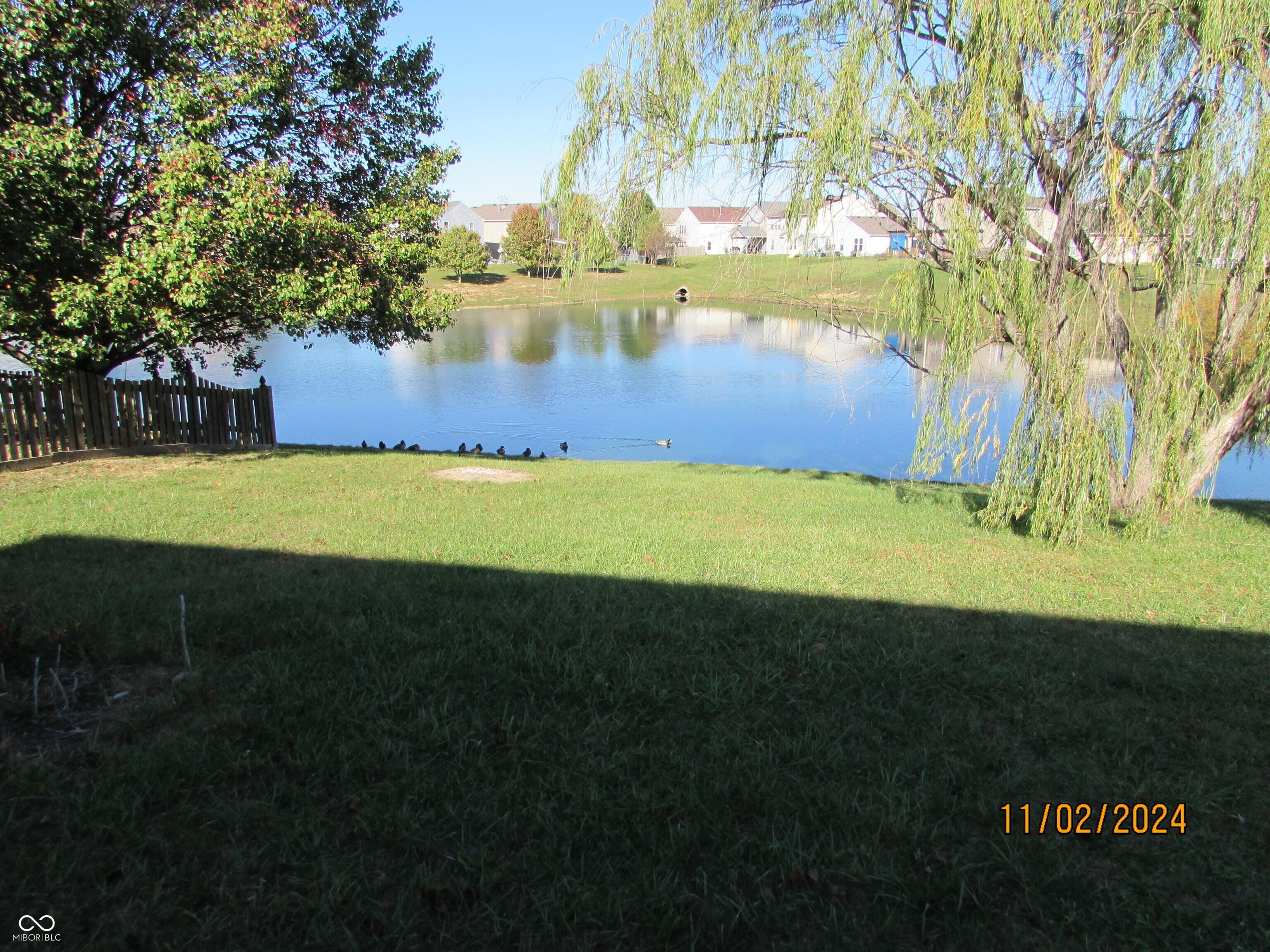 Photo #16