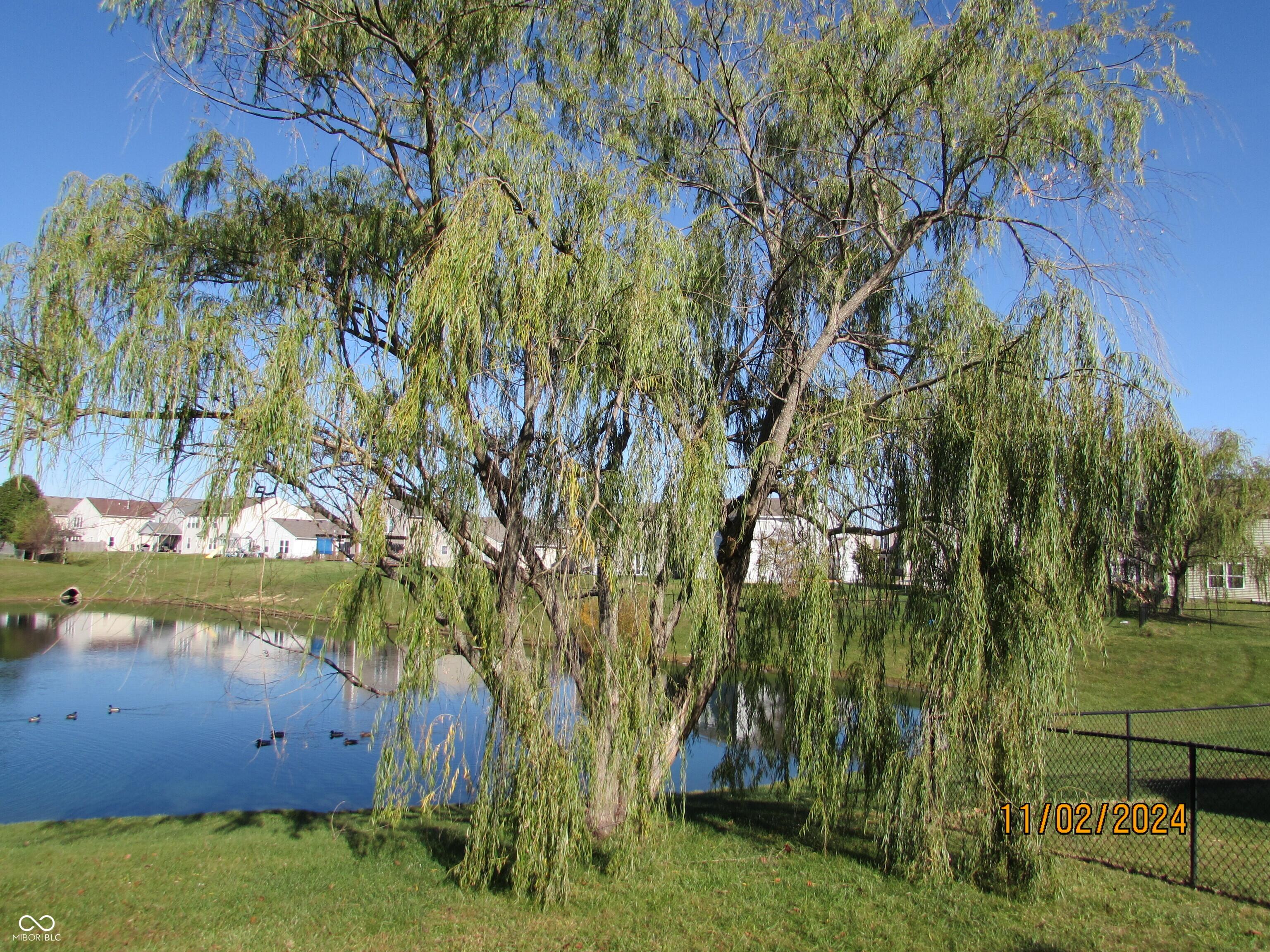 Photo #17