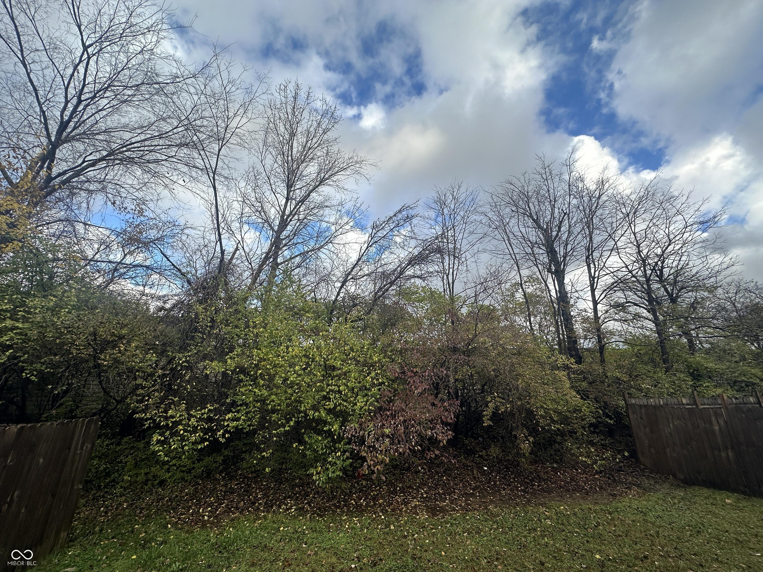 Photo #33