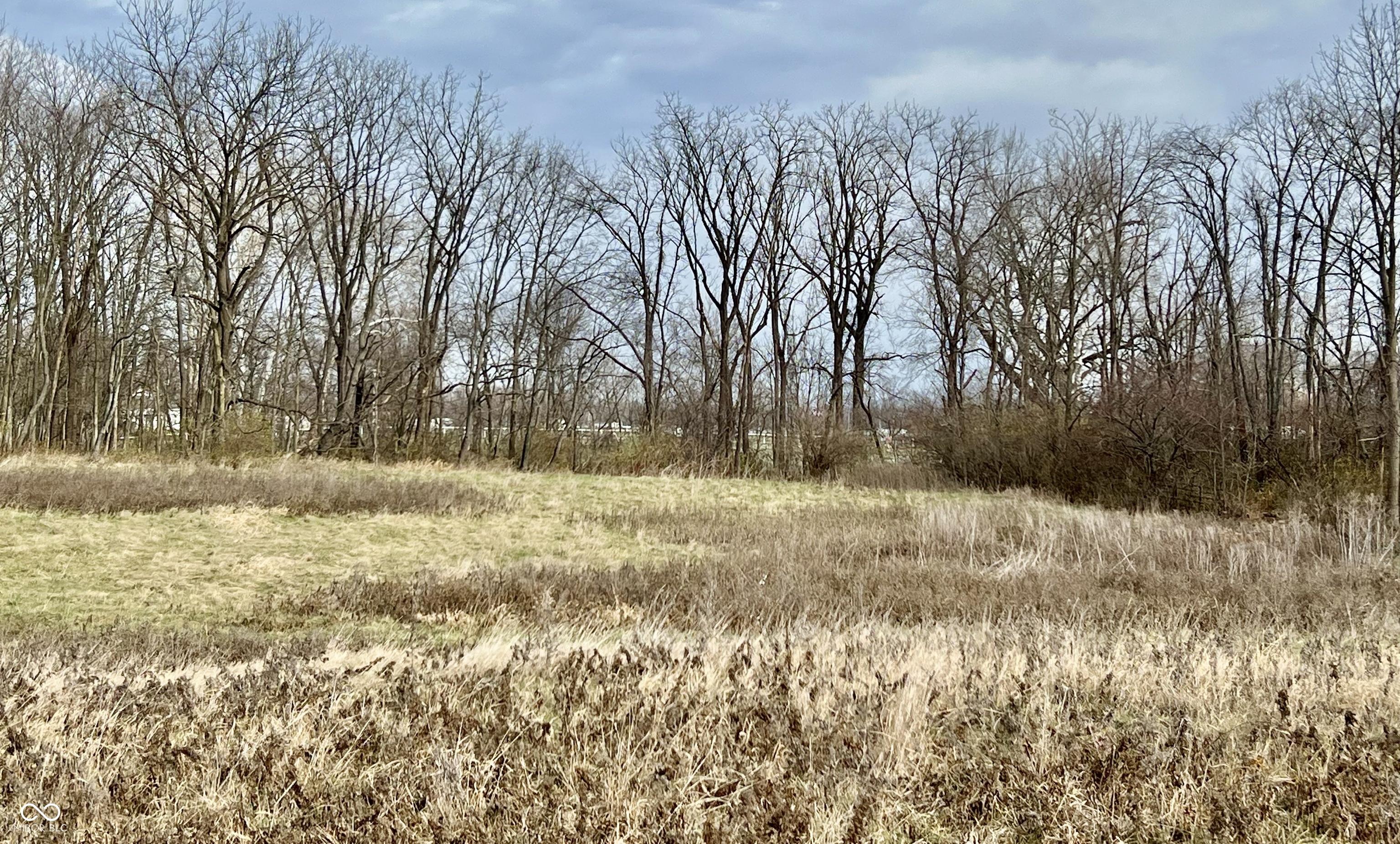 Photo #14