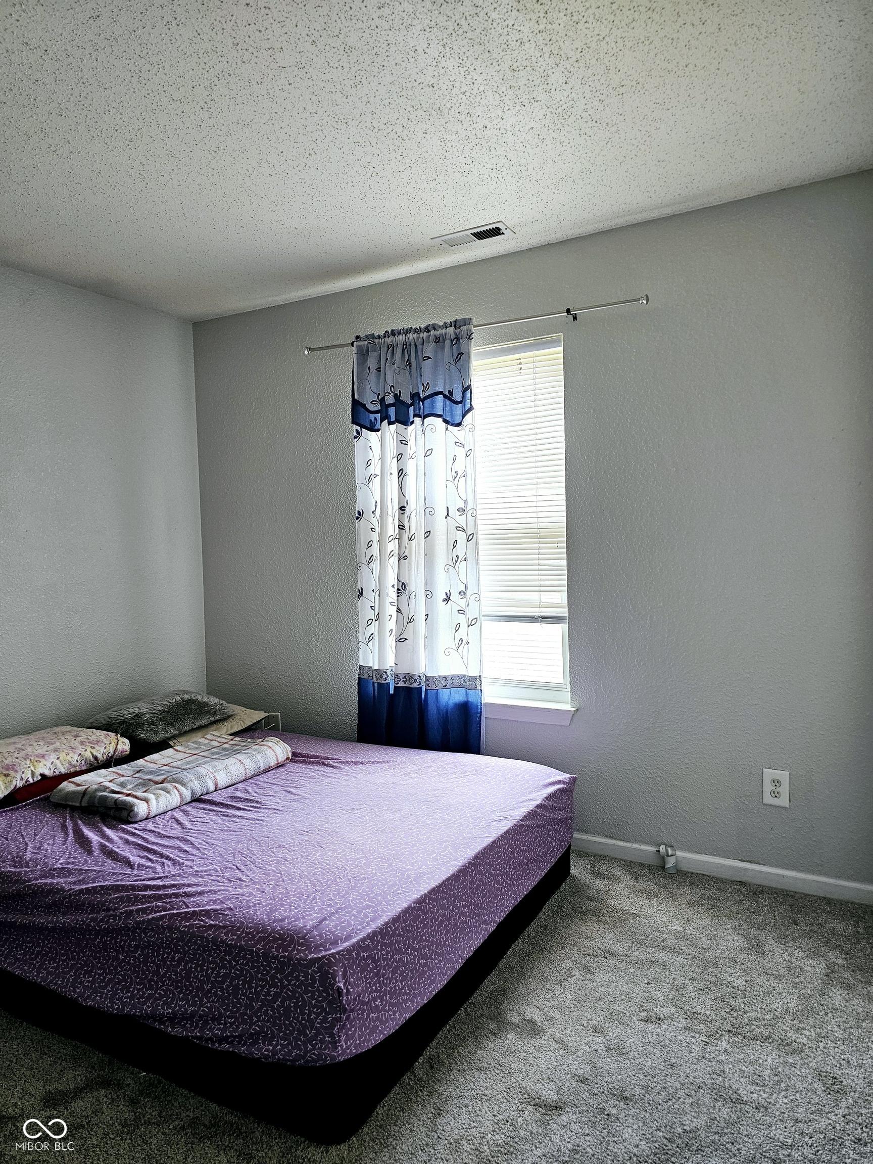 Photo #21