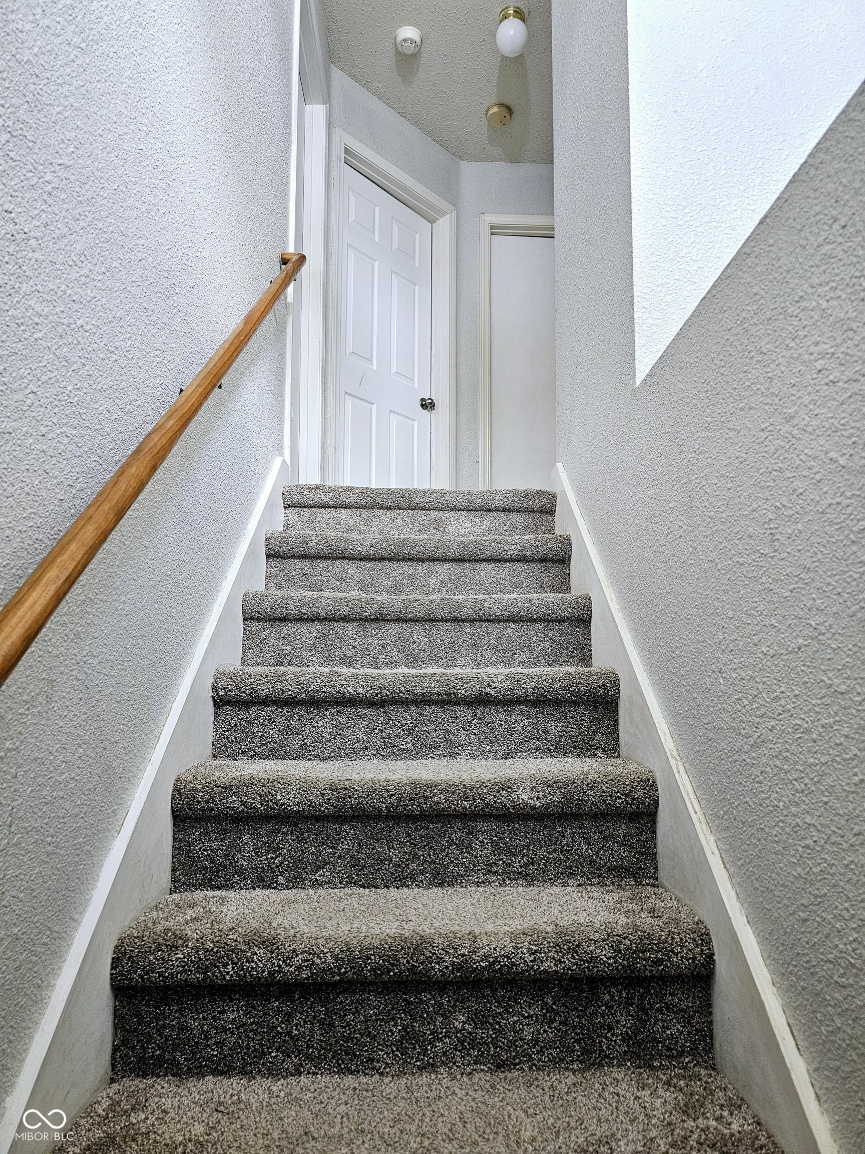 Photo #16