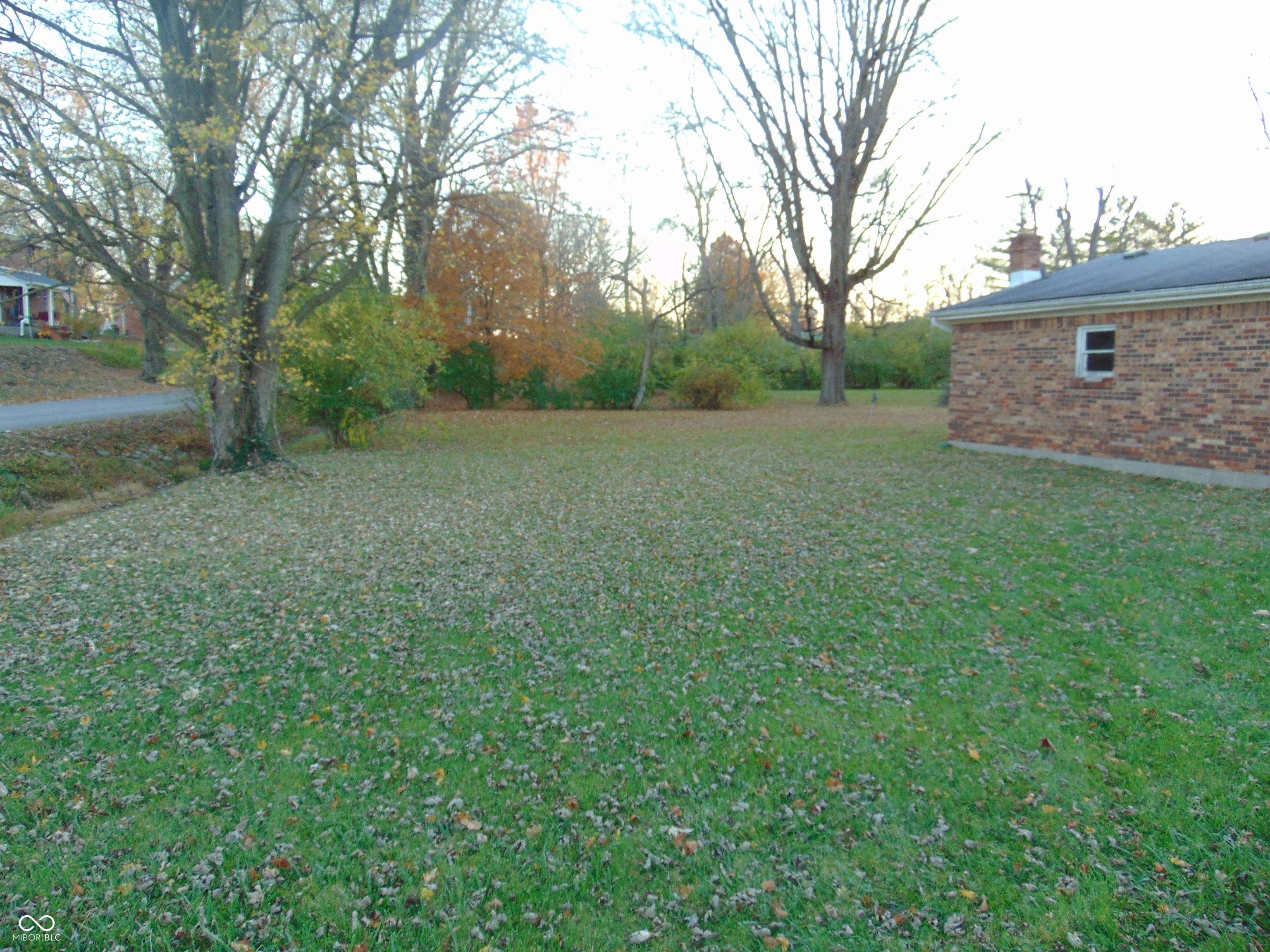 Photo #4