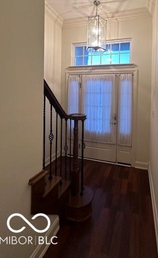 Photo #5
