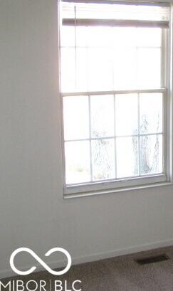 Photo #11