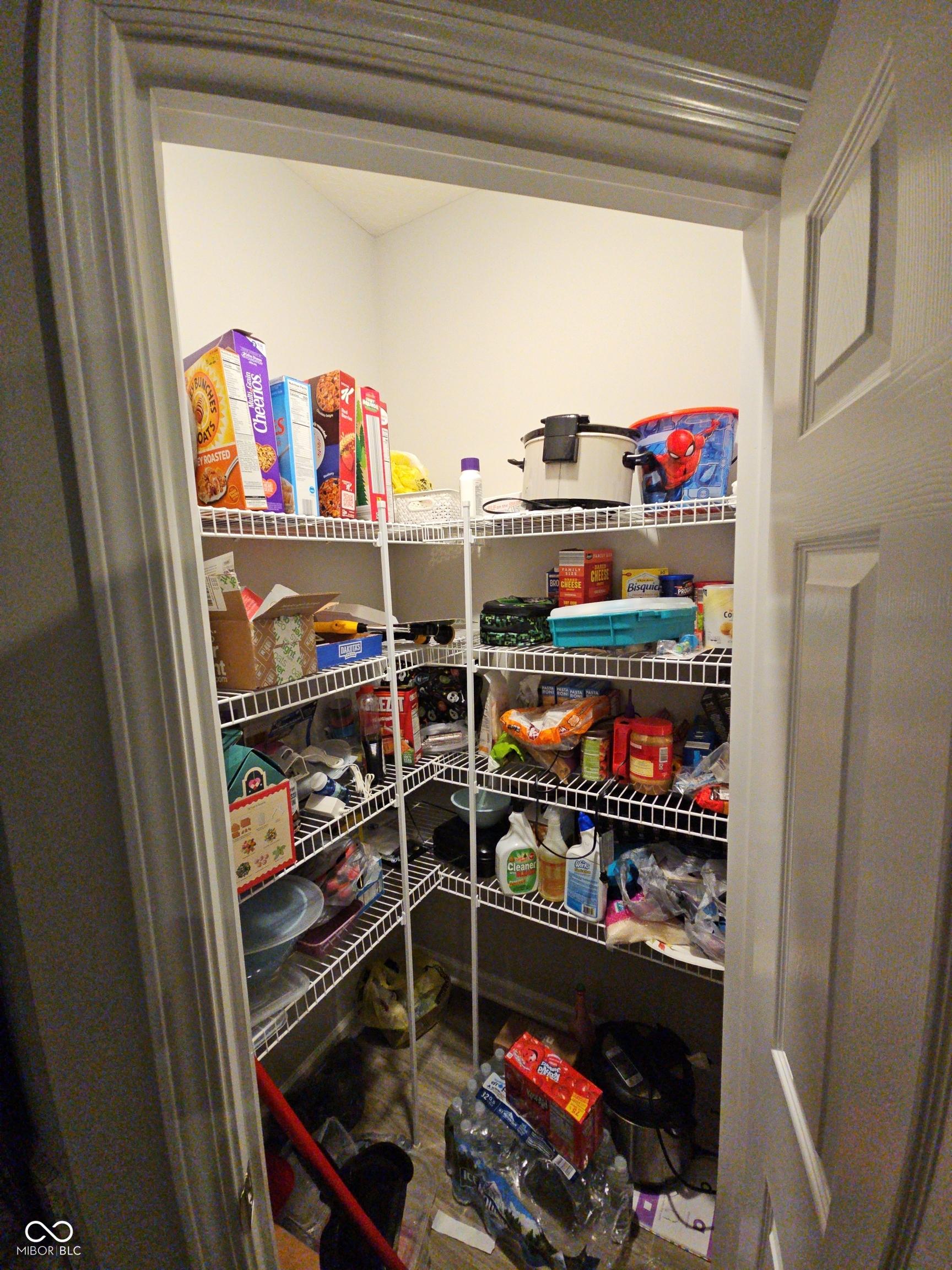 Photo #11