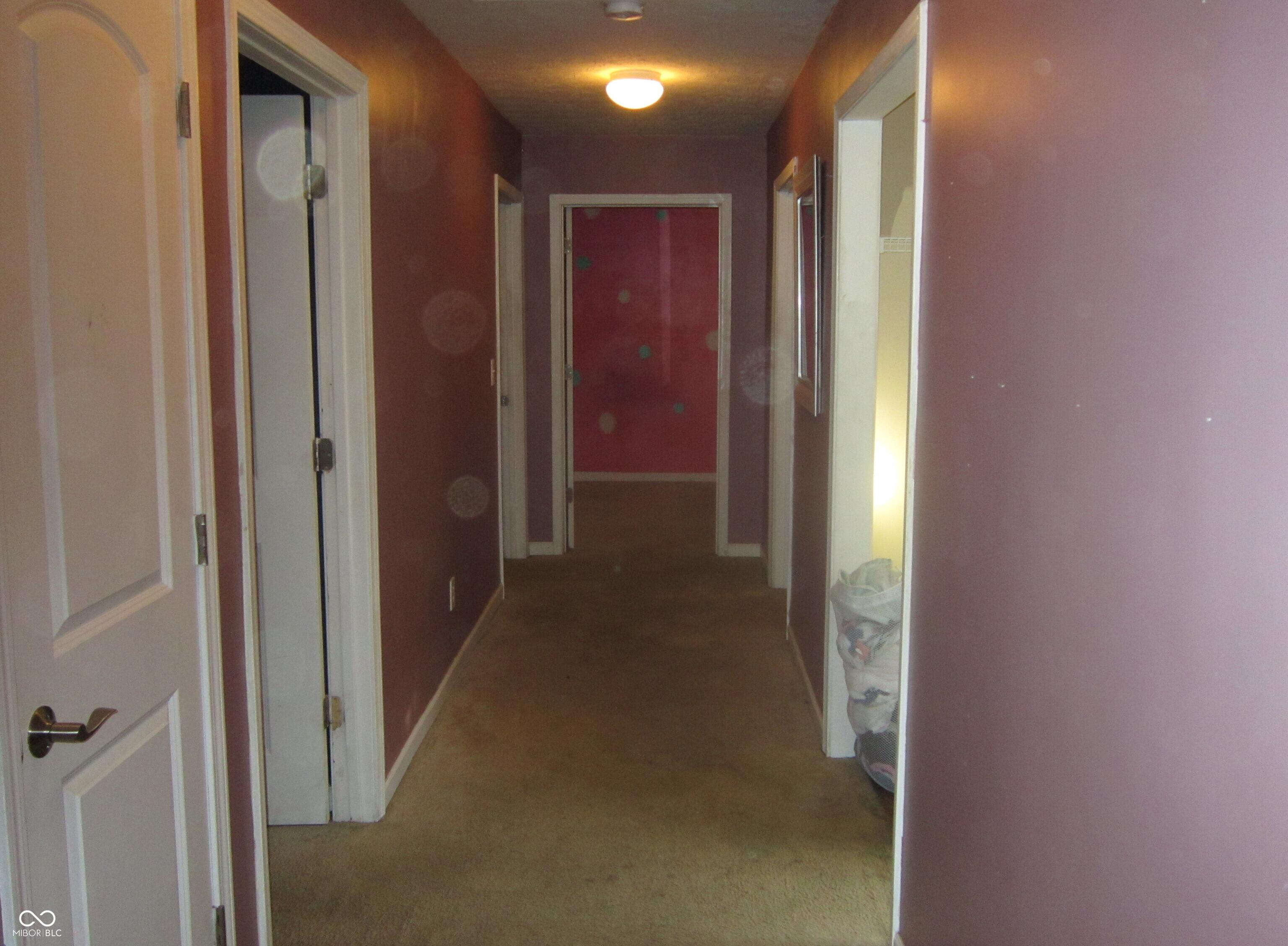 Photo #13
