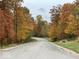 Curving road through autumn trees in a neighborhood at 2131 N Wolf Den Ln, Martinsville, IN 46151