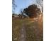 Backyard with a shed, grassy area, and mature trees at 213 E Broadway St, Alexandria, IN 46001