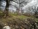 Overgrown backyard with debris and trash needs significant cleanup at 904 N Penn St, Muncie, IN 47303