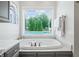 Relaxing bathroom with a soaking tub, large window, and modern fixtures at 4023 Cedar Hills N Dr, Greenwood, IN 46143