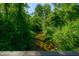 Tranquil creek flowing through lush green foliage at 4023 Cedar Hills N Dr, Greenwood, IN 46143