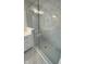 Large walk-in shower with glass enclosure and hexagon tile floor at 6272 Willow Branch Way, Plainfield, IN 46168