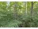 Lush green wooded area with mature trees at 2705 S 975 E, Zionsville, IN 46077