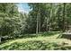 Wooded backyard with lush greenery and a sloping yard at 8157 Center Lake Rd, Nineveh, IN 46164