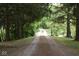 Long tree-lined driveway leading to a private residence at 9100 S Us Highway 35, Muncie, IN 47302